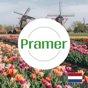 Order - picker  - atrakcyjna tygodniówka (Zwolle)