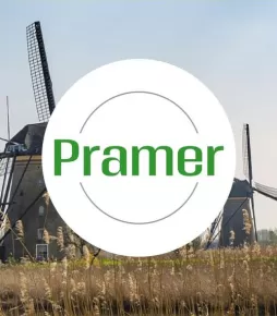 Pracownik szklarni - dla par|singli - BRAK WYMAGAŃ